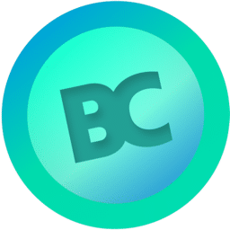 Bigcash app icon